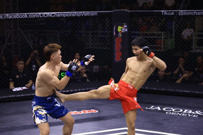Mma-Lc16a